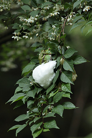 e0113053_23234396.jpg