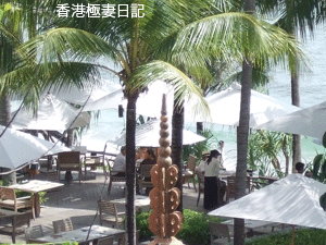 f0190653_8393161.gif