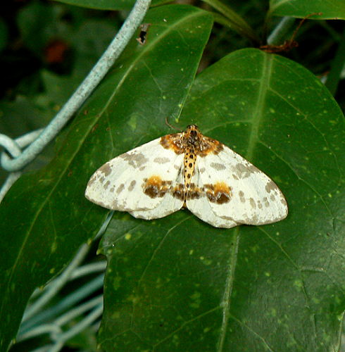 d0091754_23575899.jpg