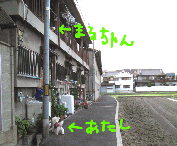 d0134156_10174861.jpg