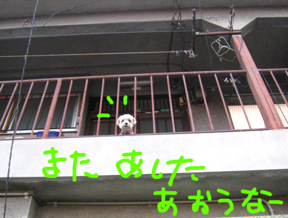 d0134156_10184056.jpg