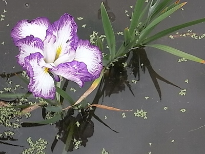 e0157157_22184061.jpg