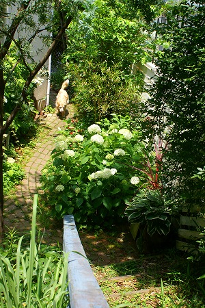 d0083761_20404126.jpg