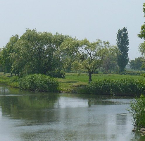 a0063364_23112046.jpg