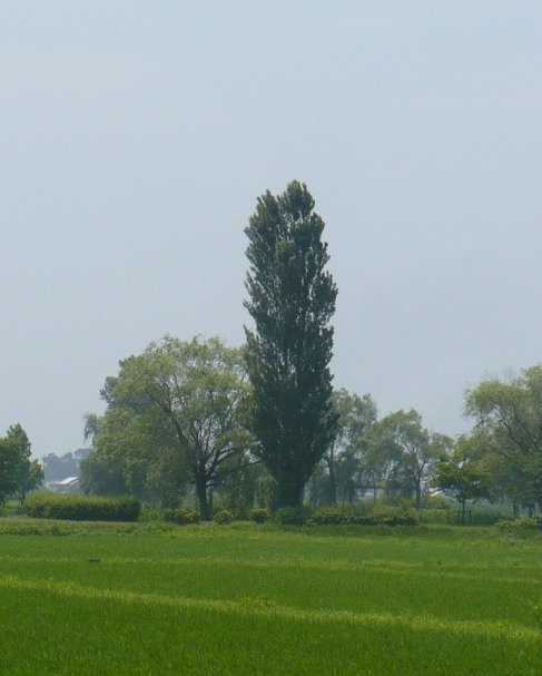 a0063364_23182033.jpg