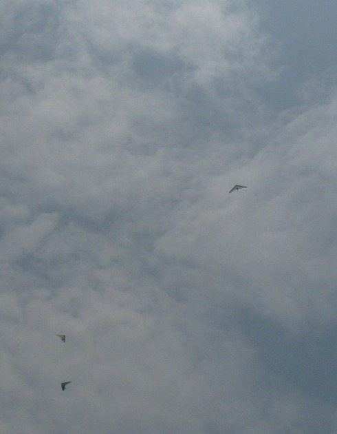 a0063364_2382666.jpg