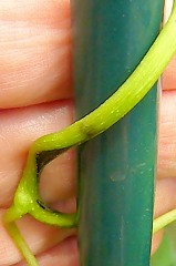 b0169765_18304788.jpg