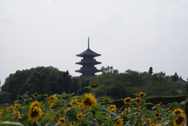a0091666_21501690.jpg