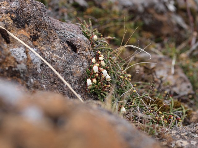d0025568_1704688.jpg