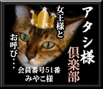 d0150672_15293145.gif