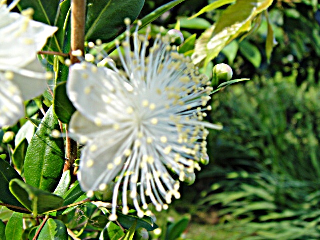 f0137275_4452837.jpg