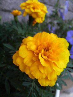 b0117276_0185879.jpg
