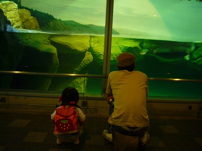 b0050079_784213.jpg