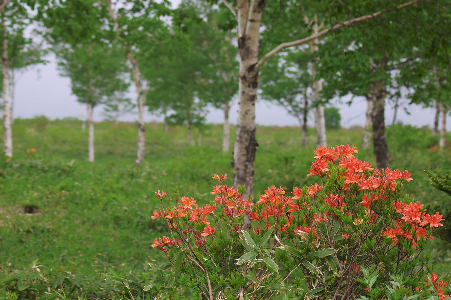b0083779_011265.jpg