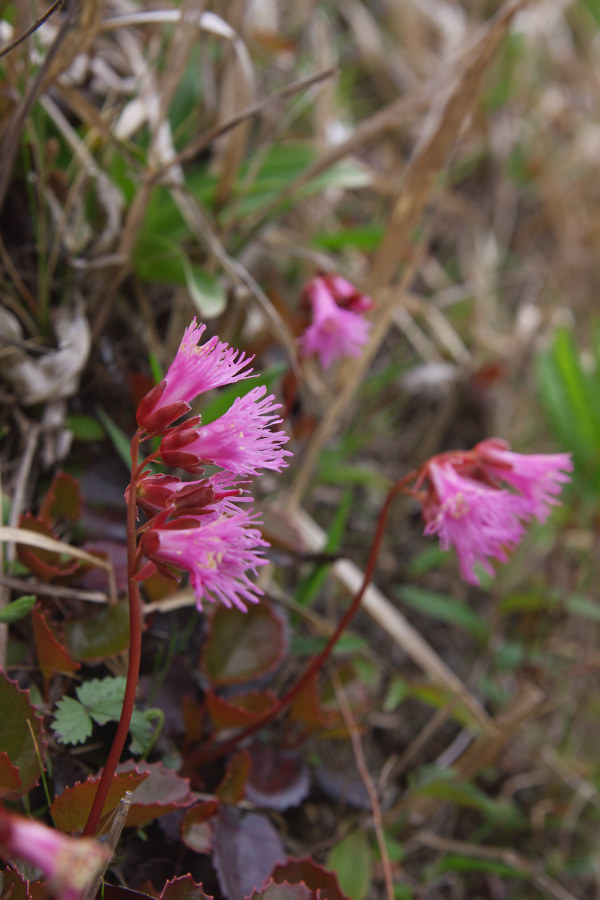 b0083779_072174.jpg