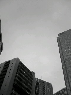 f0100480_22122437.jpg