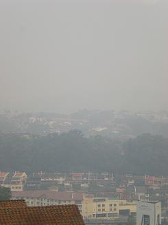 b0144988_2463871.jpg