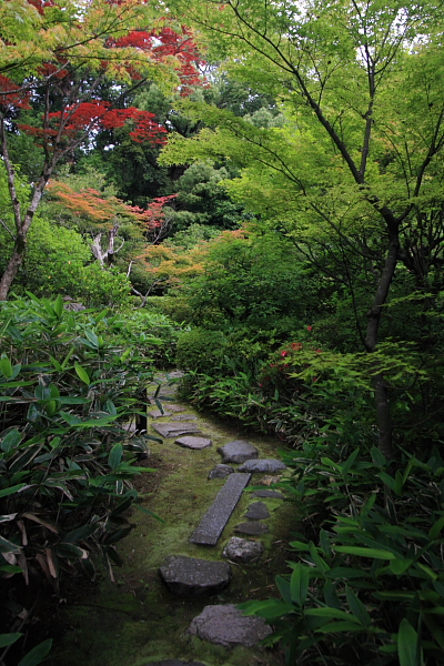 e0051888_5265260.jpg