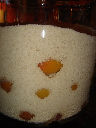 f0138588_20435070.jpg
