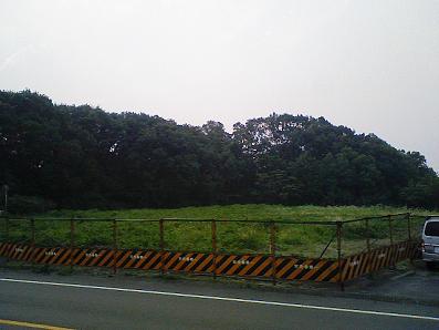 b0100489_6141499.jpg