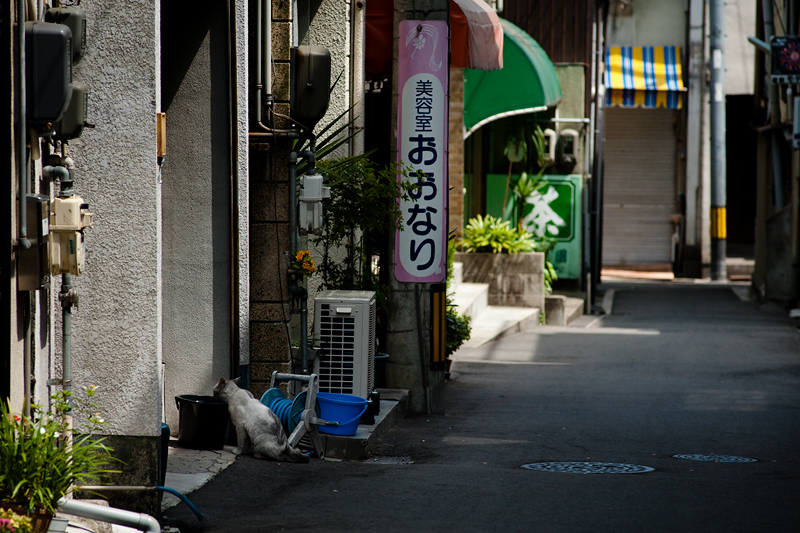 d0142891_544273.jpg