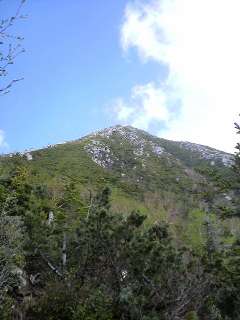 c0147398_8573066.jpg