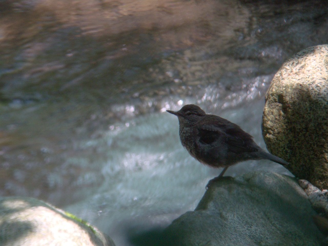 c0079001_20511424.jpg