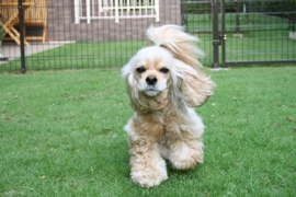 c0128303_2335873.jpg