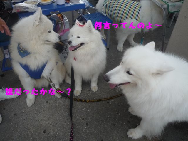 e0018604_143955100.jpg