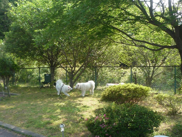 e0018604_20293252.jpg