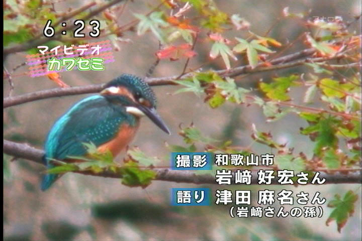 c0047906_22423953.jpg