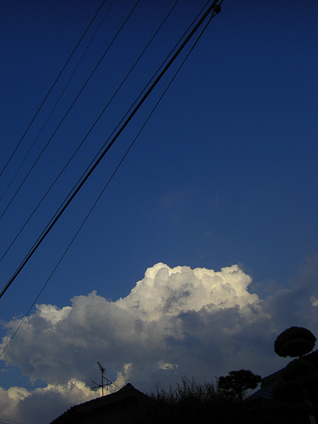 a0041508_1284767.jpg