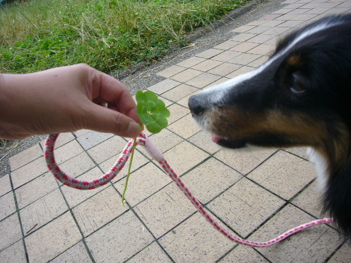 e0130008_22275788.jpg