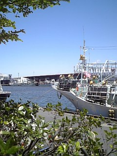 f0121909_22462861.jpg