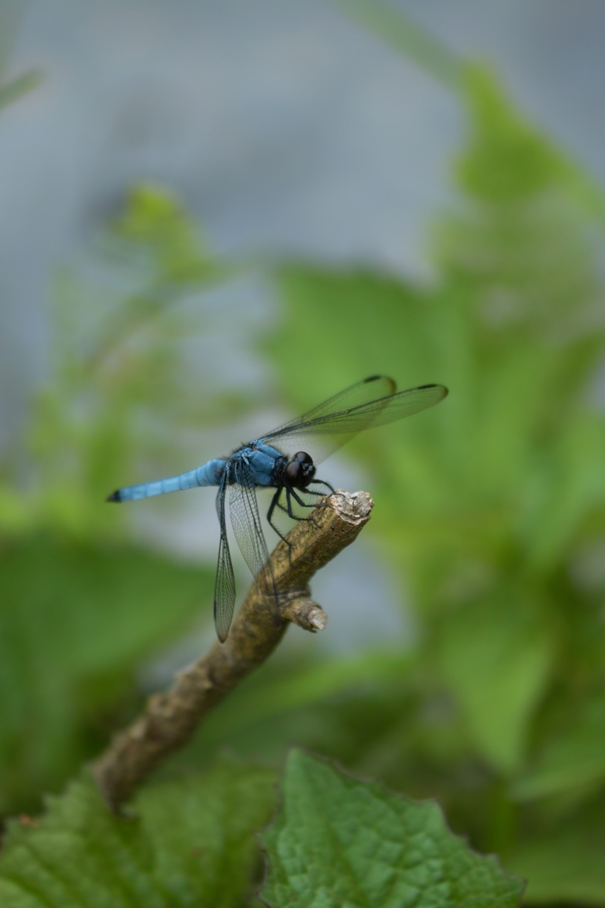 b0137311_204010100.jpg