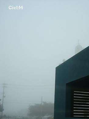 c0160014_1014740.jpg