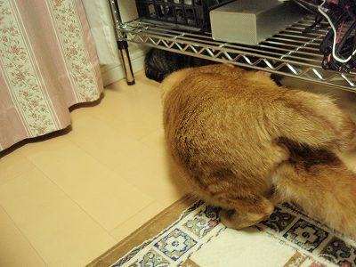 c0145016_2030112.jpg