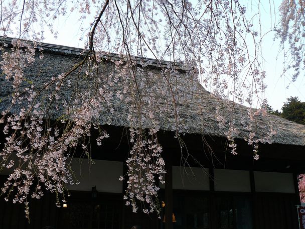 f0004019_2245168.jpg