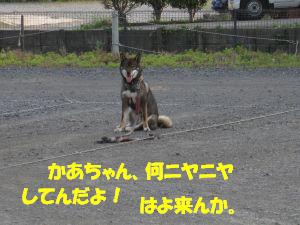 f0143123_20322261.jpg