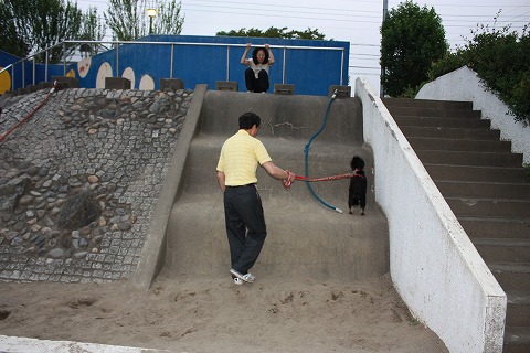 e0162524_1227972.jpg