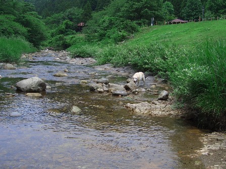 b0181027_2244239.jpg