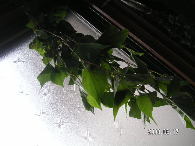 a0020929_13364176.jpg