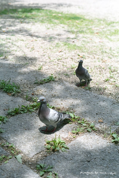 d0036630_22757.jpg