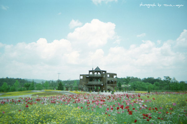 d0036630_24940.jpg