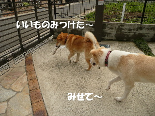 d0140133_14134767.jpg