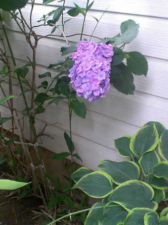 c0125637_13182017.jpg