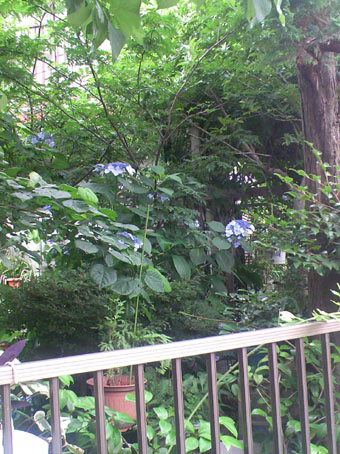 c0125637_13182838.jpg