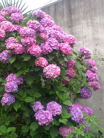 c0125637_13183662.jpg