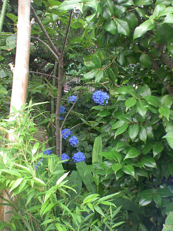 c0125637_13194163.jpg