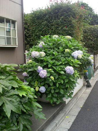 c0125637_13205133.jpg